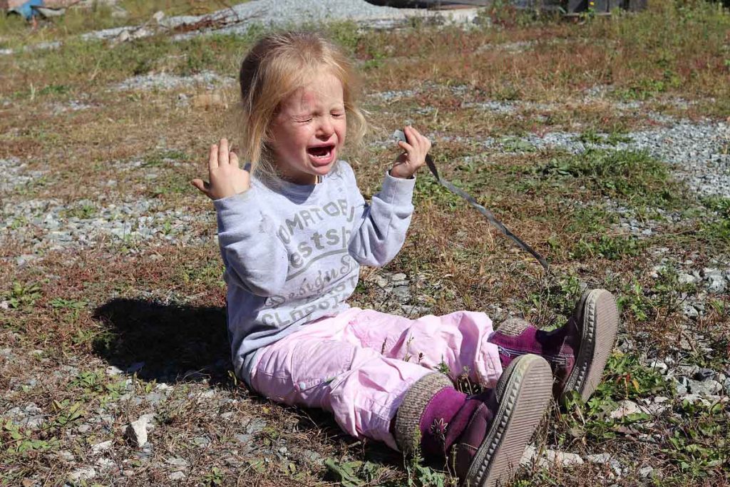 Seeing As Heaven Sees